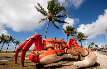 Aracaju