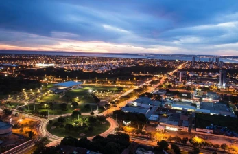 Palmas